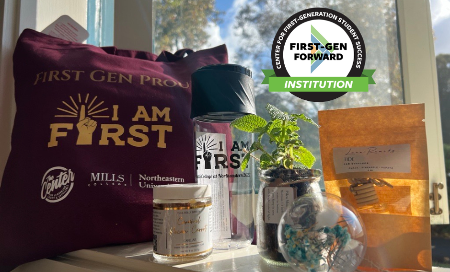 First-gen bag and promotional items with a plant in the window