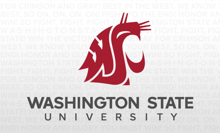 Washington University logo graphic